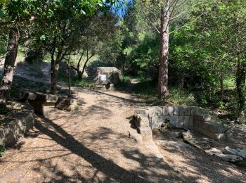 Randonnée Marche Clarensac - Clarensac et les fermes voltaïques. - Photo