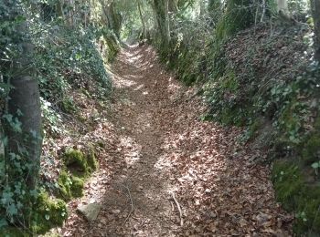 Trail Walking Le Faouët - Le Faouët - Les cahots de l'Elle  - Photo