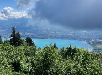 Tocht Wegfiets Le Bourget-du-Lac - Le relais du Mont du Chat - Photo