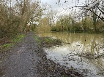 Tour Wandern Erquinghem-Lys - Erquinghen-Lys inondations 12 km - Photo