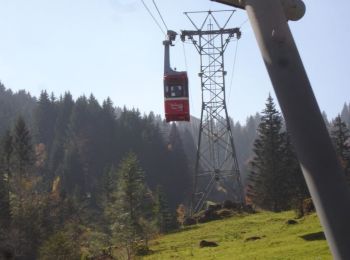 Tour Zu Fuß Illgau - Ybriger 7-Egg-Weg - Photo