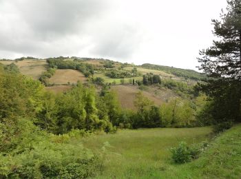 Trail On foot Brisighella - IT-13 - Photo