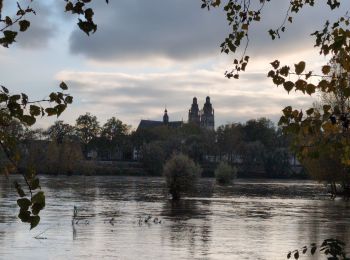 Randonnée Marche Fondettes - Fondettes Gare - Saint-Cyr-sur-Loire Tours - 23.4km 345m 5h10 (40mn) - 2024 10 27 - Photo