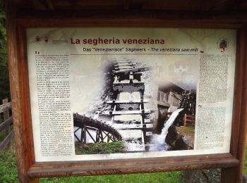 Tour Zu Fuß Rabbi - (SI C04) Bivio Rifugio Stella Alpina al Lago Corvo - Passo Palù - Malga Bordolona di Sopra - Malga Preghena di Sotto - Val Malgazza - Ponte delle Poie - Bagni di Bresimo - Photo