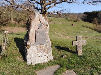 Trail On foot Glatten - Pfalzgrafenweiler - Dornhan - Photo