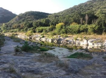 Tour Pfad Cabrières - la baume collias la torte par le gardon - Photo