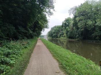 Tour Radtourismus  Montargis - Montargis - Dammarie les Lys par EuroVélo3 - Photo