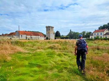 Tocht Te voet Crouy-sur-Ourcq - Boucle 30 km Crouy / Ourcq - Gandelu - Montigny - Coulombs en Valois - Photo