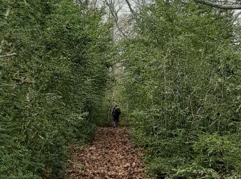 Tour Wandern Sainte-Colombe - SAINTE COLOMBE . 05 . Pas de Sainte  Colombe o m s - Photo