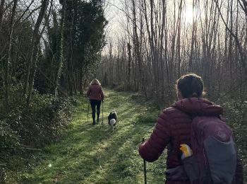 Trail Nordic walking Lesparre-Médoc - St Trelody Médoc - Photo