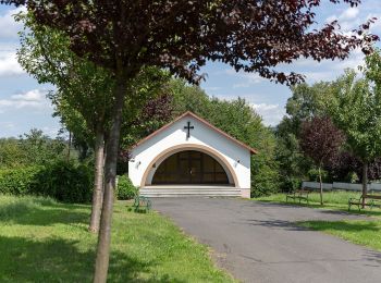 Trail On foot Gemeinde Mariasdorf - Rundwanderweg Bergwerk/Neustift - Schloss/Tauchental/Sonnleiten - Photo