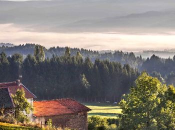 Tour Wandern Cunlhat - Cunlhat_Chemin_Ronde_JG_02 - Photo