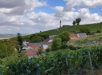 Trail Walking Verzy - la balade bouquine - Photo