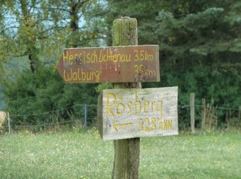 Percorso A piedi Hessisch Lichtenau - Hessisch Lichtenau-Helsa - Photo