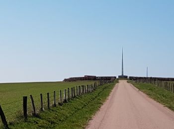 Randonnée Marche Darney - Darney : Vers le pont Tatal  - Photo