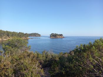 Trail Walking La Londe-les-Maures - Plage de l'Argentière à l'Estagnol 27.05.23  - Photo