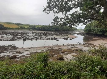 Tocht Stappen Lanildut - aber ildur - Photo