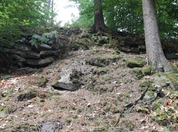 Tour Zu Fuß Maroldsweisach - Lauftour MAR1 - Photo