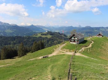 Tour Zu Fuß Einsiedeln - Wildegg - Vorderthal - Photo