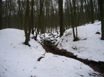 Tocht Te voet Lübbecke - A0 Lübbecke-Gehlenbeck - Photo