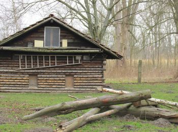 Trail On foot  - Klangpfad Neureut - Photo