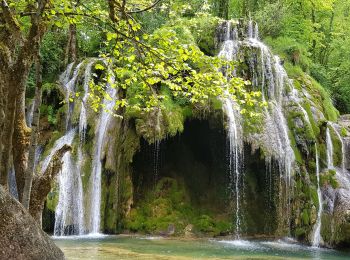 Tour Hybrid-Bike Arbois - Cascade de Tufs Arbois - Photo