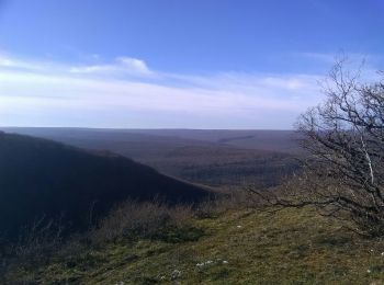 Tocht Mountainbike Messigny-et-Vantoux - fontaine de jouvence  saussy  vernot - Photo