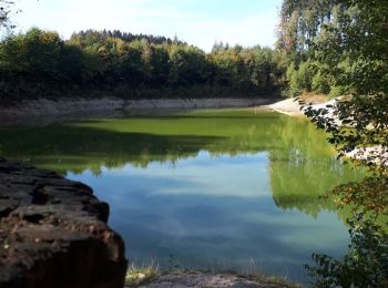 Tocht Stappen Libin - Libin - Le chemin du Kaolin (LI20) - Photo