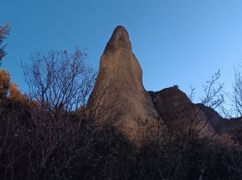 Excursión Senderismo Les Mées - les pénitents et leur forêt domaniale - Photo