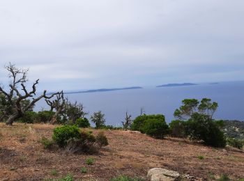 Randonnée Marche Cavalaire-sur-Mer - rando avec serge et Ibrahim   le Pradet e retour par bonporteau - Photo