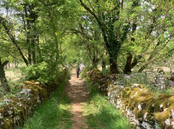 Tocht Stappen Gramat - Moulin du saut  - Photo