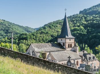 Trail On foot Conques-en-Rouergue - Tieulet - Photo