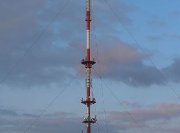 Tocht Te voet Langenburg - P Tränkbuck Rundwanderweg 2 - Photo