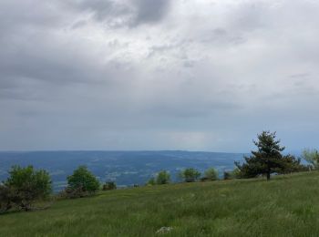 Excursión Bici eléctrica Valcivières - Monthiallier  - Photo