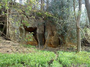 Tour Zu Fuß Ryedale - Three Feathers Walk (Kilburn) - Photo