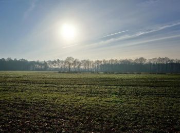 Tour Zu Fuß Bronckhorst - De Pinselroute - Photo