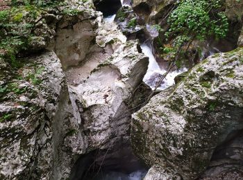 Randonnée Marche Bohinj - Gorges - Photo