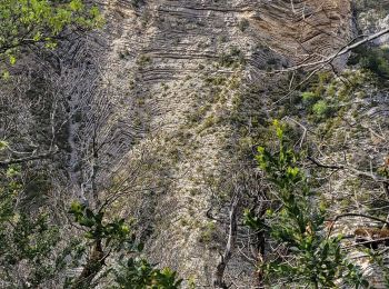 Randonnée Marche Val-Buëch-Méouge - 190423 Tour des gorges de la Méouge  - Photo