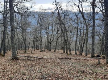 Tour Wandern Mayrègne - Cap de Serrède en boucle depuis Mayrègne  - Photo