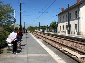 Trail Hybrid bike Sucé-sur-Erdre - Circuit tram-train - Photo