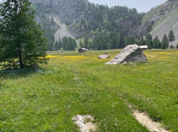 Trail Walking Villar-Saint-Pancrace - 20230627 Briancon La cachalot - Photo