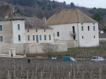 Trail On foot Chassagne-Montrachet - V - 2019 5/03 CHASSAGNE - Photo