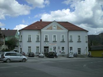 Tocht Te voet Turnau - Jakobus-Rundweg - Photo