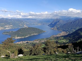 Percorso A piedi Monticelli Brusati - El gir del Muntasel - Photo