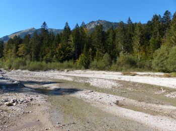 Excursión A pie Garmisch-Partenkirchen - Kramerplateauweg - Photo