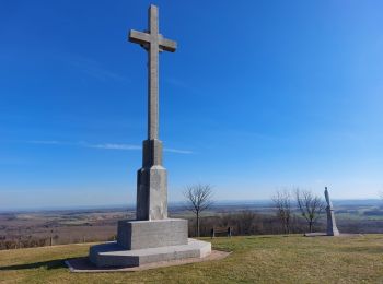 Randonnée Marche Circourt - Circourt - Photo