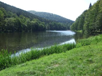 Trail On foot Lembach - Croix rouge - Photo