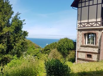 Randonnée Marche Yport - Yport - Benouvile par le chemin des falaises - Photo