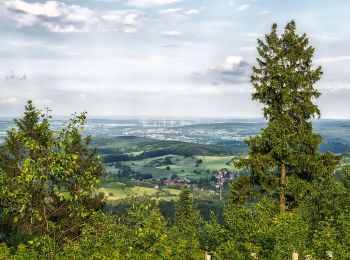 Randonnée A pied Horn-Bad Meinberg - Pilgerweg 