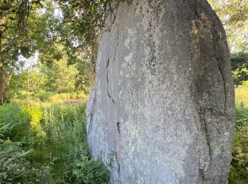 Excursión Senderismo Penmarc'h - Menhir de la vierge - Photo